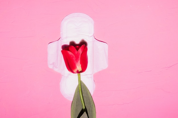 Free photo top view sanitary towel with flowers