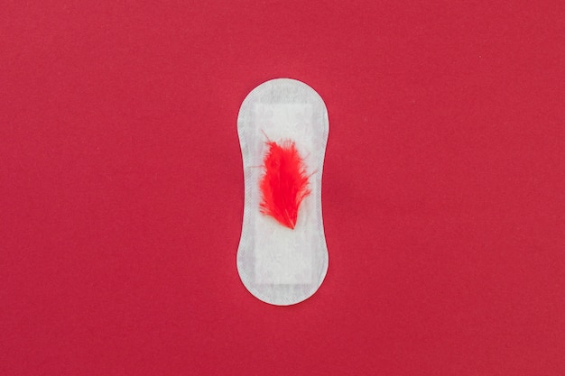 Top view sanitary towel with red fur