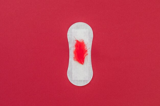 Top view sanitary towel with red fur