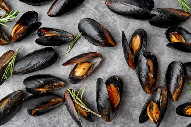 Top view of scattered mussels