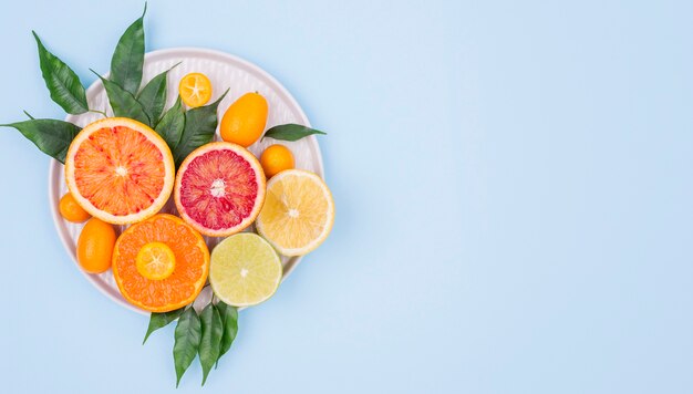 top view selection of organic fresh with copy space