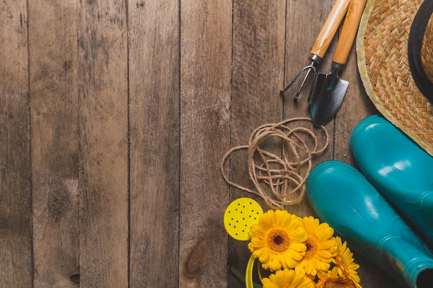 Free photo top view of several gardening objects on wooden table