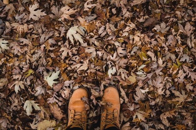 Top view shot of brown boots and leaves in the ground