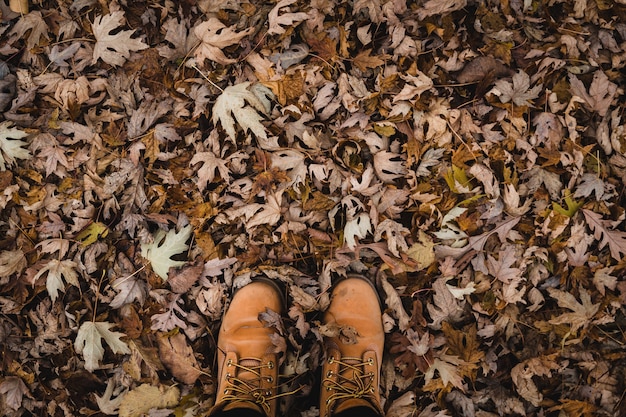 Top view shot of brown boots and leaves in the ground