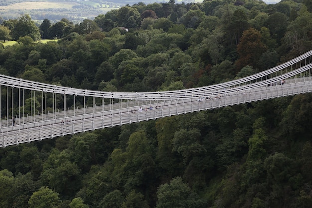 Top view shot of a silver bridge going over a pit covered in trees