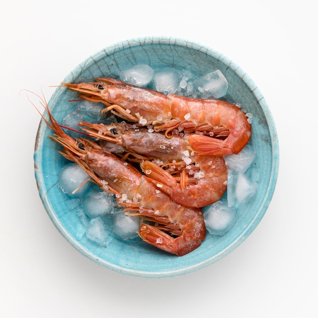 Top view of shrimp on plate with ice cubes