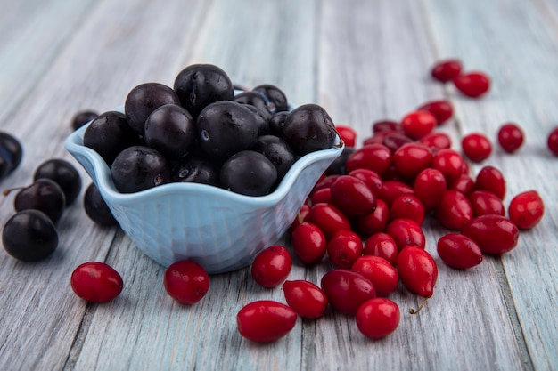 Top view of small dark purple blackthorn on a blue bowl with red cornel berries isolated on a grey wooden background