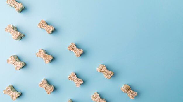 Top view on small dog treats in the shape of a bone