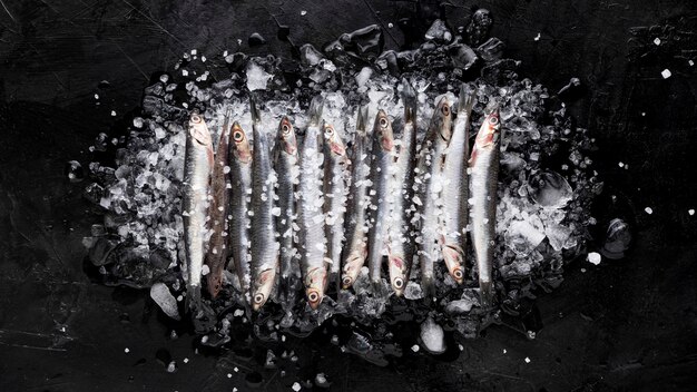 Top view of small fish on top of ice cubes