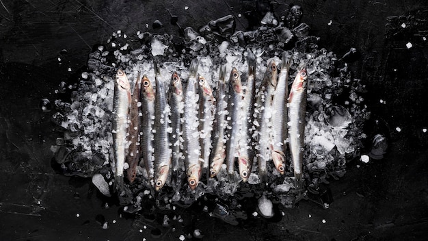 アイスキューブの上に小さな魚のトップビュー