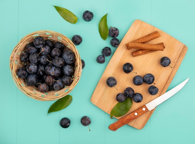 Top view of the small sour blackish fruit sloes on a bucket with sloes on a wooden kitchen board with cinnamon sticks with knife on a blue background