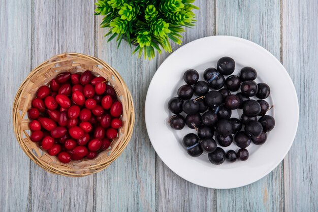 Top view of small sour blackthorn on a white plate with red cornel berries on a bucket on a grey wooden background