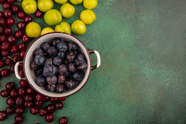 Top view of the small sour blue-black fruit sloes on a bowl with green cherry plum on a green background with copy space