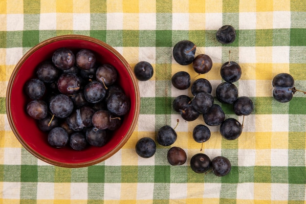 Top view of the small sour blue-black fruit sloes on a red bowl with sloes isolated on a checked tablecloth background