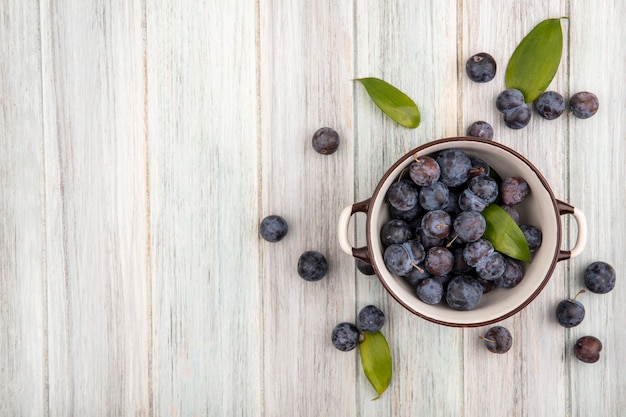 복사 공간이 회색 나무 배경에 고립 된 sloes 그릇에 작은 신 블루-블랙 슬로의 상위 뷰