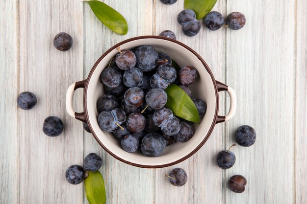 Top view of the small sour blue-black sloe on a bowl with sloes isolated on a grey wooden background