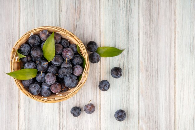 Top view of the small sour blue-black sloe on a bucket with leaves on a grey background with copy space jpg