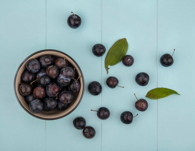 Top view of the small sour blue-black sloes on a bowl with sloes isolated on a blue background