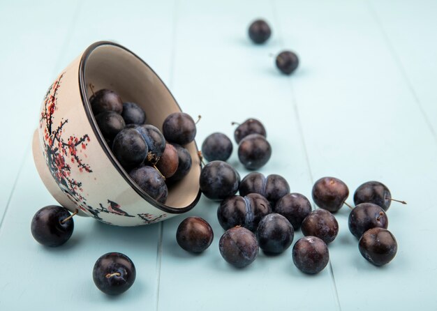 Top view of the small sour blue-black sloes falling out of a bowl on a blue background