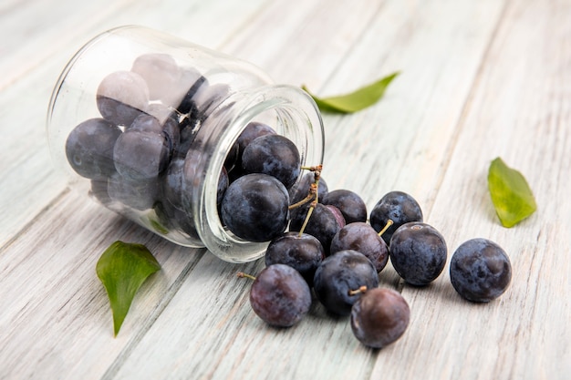 Top view of the small sour blue-black sloes falling out of a glass jar on a grey wooden background