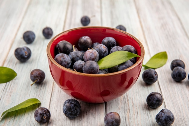 Top view of small sour dark purple fruit sloes on a red bowl with sloes isolated on a grey wooden bowl