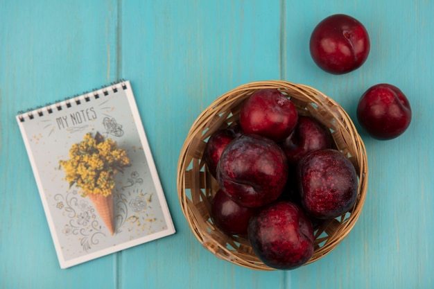 Free photo top view of smooth skinned pluots on a bucket with pluots isolated on a blue wooden wall