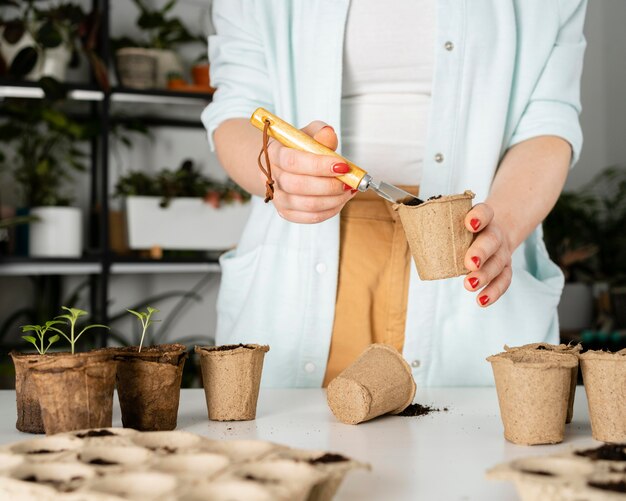 こぼれた土に囲まれた白い表面に落ちた観葉植物 無料の写真