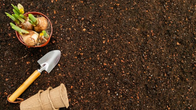 Top view soil and gardening tools