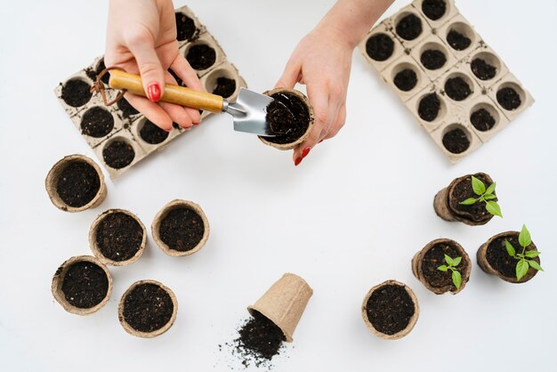 Top view soil for plants