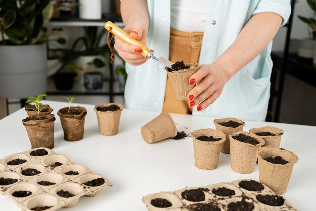 Top view soil for plants