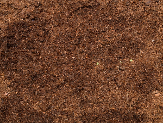 Top view soil