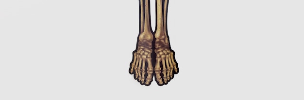 Free photo top view spooky skeleton feet for halloween
