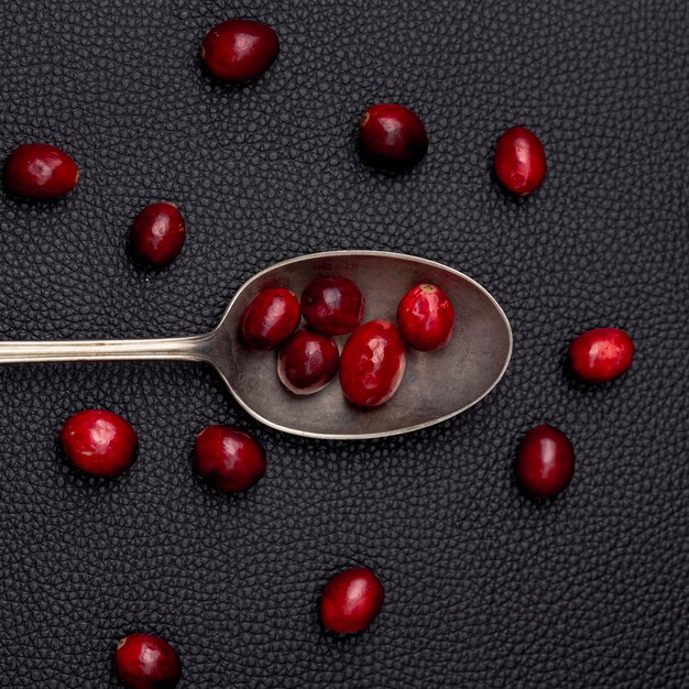 Top view of spoon with cranberries