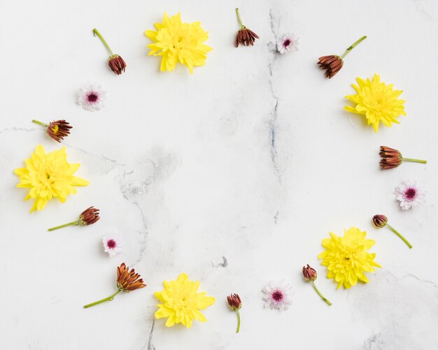 Top view of spring daisies with marble background