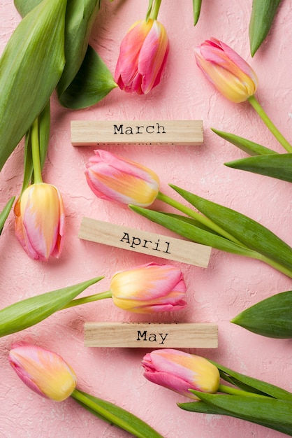 Top view spring months tags with tulips beside