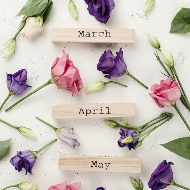 Free photo top view spring months with roses