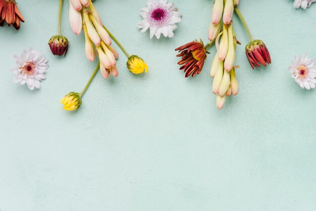 Top view of spring orchids and daisies with copy space