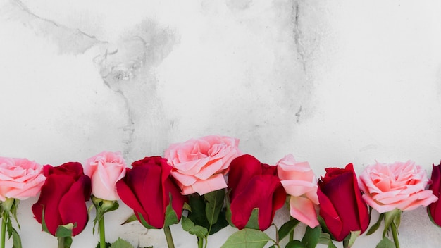 Top view of spring roses with marble background