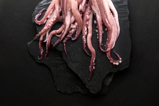 Top view of squid on slate