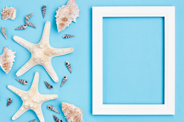 Free photo top view of starfish and sea shells with frame