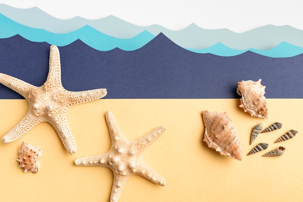 Top view of starfish and sea shells with paper ocean waves