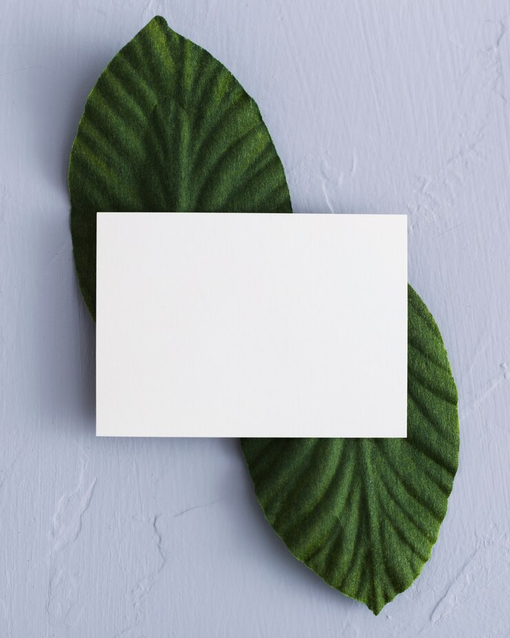 Free Photo top view stationery business card concept
