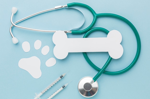 Top view of stethoscope with paper bone and paw print for animal day