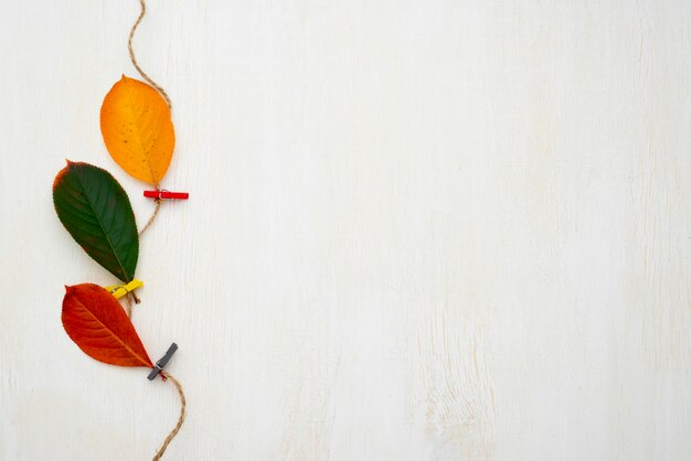 Top view of string with autumn leaves and copy space