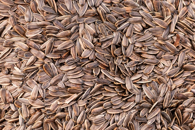 Top view sunflower seeds  surface