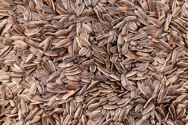 Top view sunflower seeds  surface