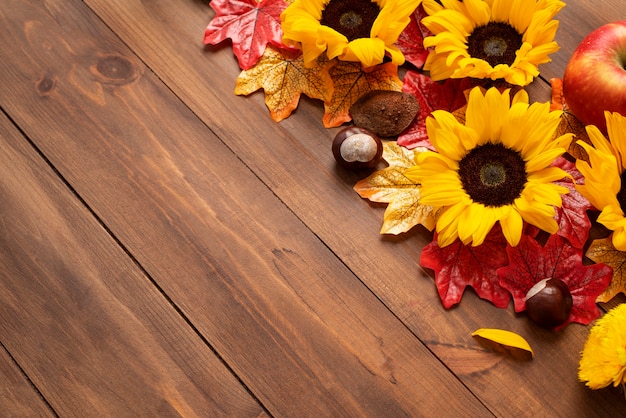 Free photo top view of sunflowers frame with apples