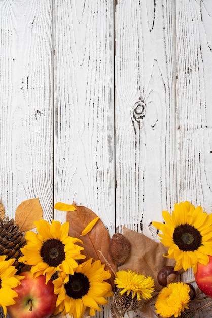 Foto gratuita vista dall'alto della cornice di girasoli con le mele