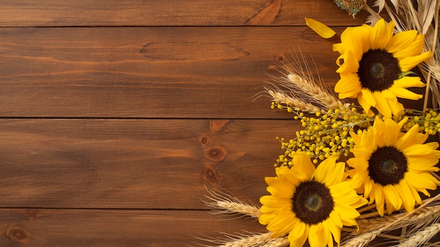 Vista dall'alto della cornice di girasoli con spazio di copia