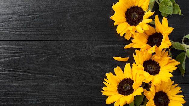 Foto gratuita vista dall'alto della cornice di girasoli con spazio di copia